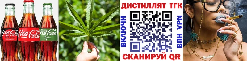Cannafood конопля  купить закладку  Дигора 