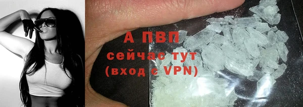 прущие грибы Горняк