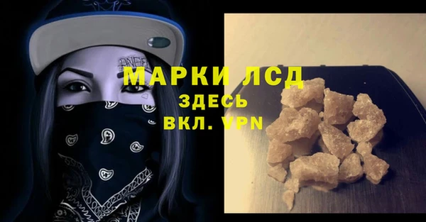 прущие грибы Горняк