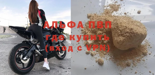 прущие грибы Горняк