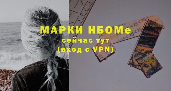 прущие грибы Горняк