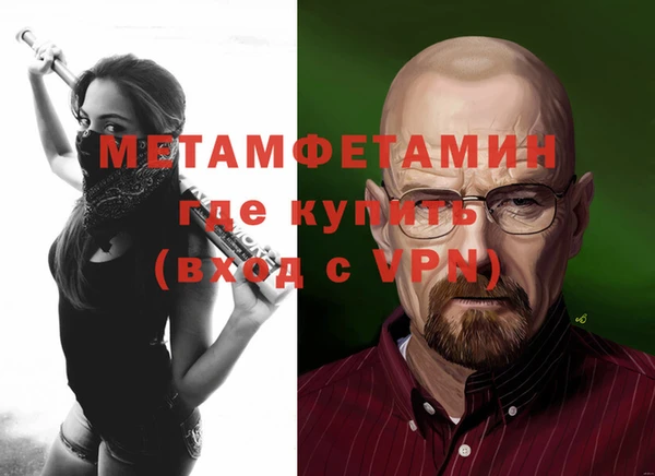 прущие грибы Горняк